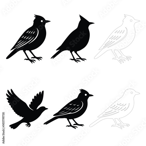 Skylark bird set icon clipart illustration & drawing black & white