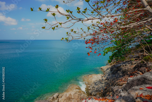 High-resolution tropical coast wallpapers featuring Phuket, Thailand: vibrant turquoise water lapping golden sand, a traditional long-tail boat near a palm-fringed cove, and a solitary sailboat drifti