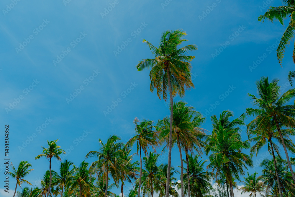 Naklejka premium Ultra-sharp minimalist canopy shot: a crown of slender coconut palms sways against a flawless cobalt sky, fronds catching midday light in vivid shades of emerald and sun-kissed gold—an airy, tropical 