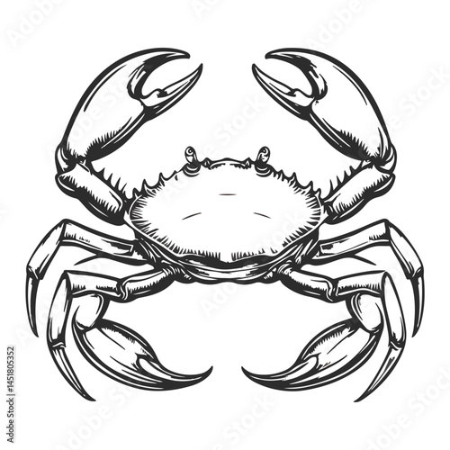 crab, arthropod, vector, transparent background, black and white style