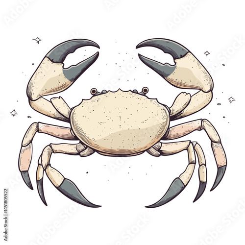 crab, arthropod, vector, transparent background