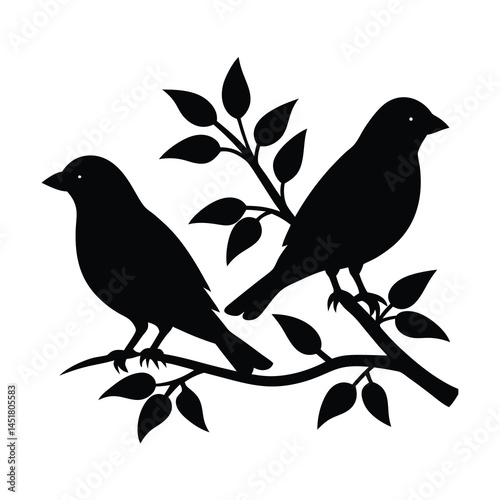 Perched Birds on Branch Vector Design