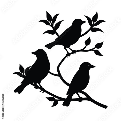 Silhouette of Birds on Branches