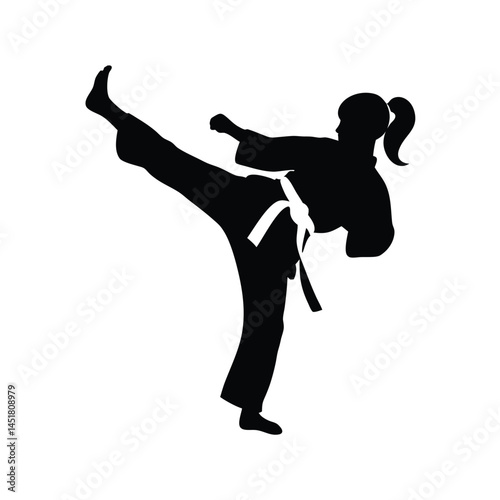 Silhouette of a Martial arts lady karate athlete performing a high kick
