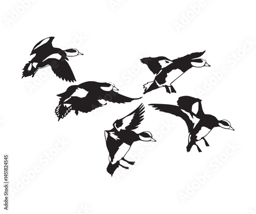 Flying Wigeon Group Silhouette, Vector Illustration Art