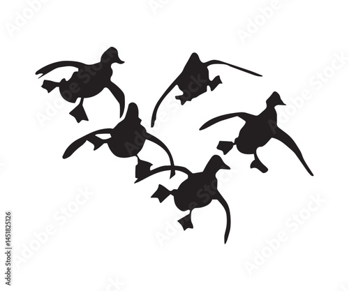 Flying Duck Silhouette, Vector Illustration Art