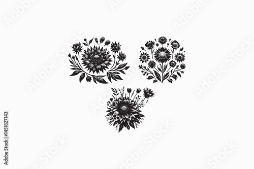 Gaillardia flower vector silhouettes black and white image adobe illustrator. eps.eps