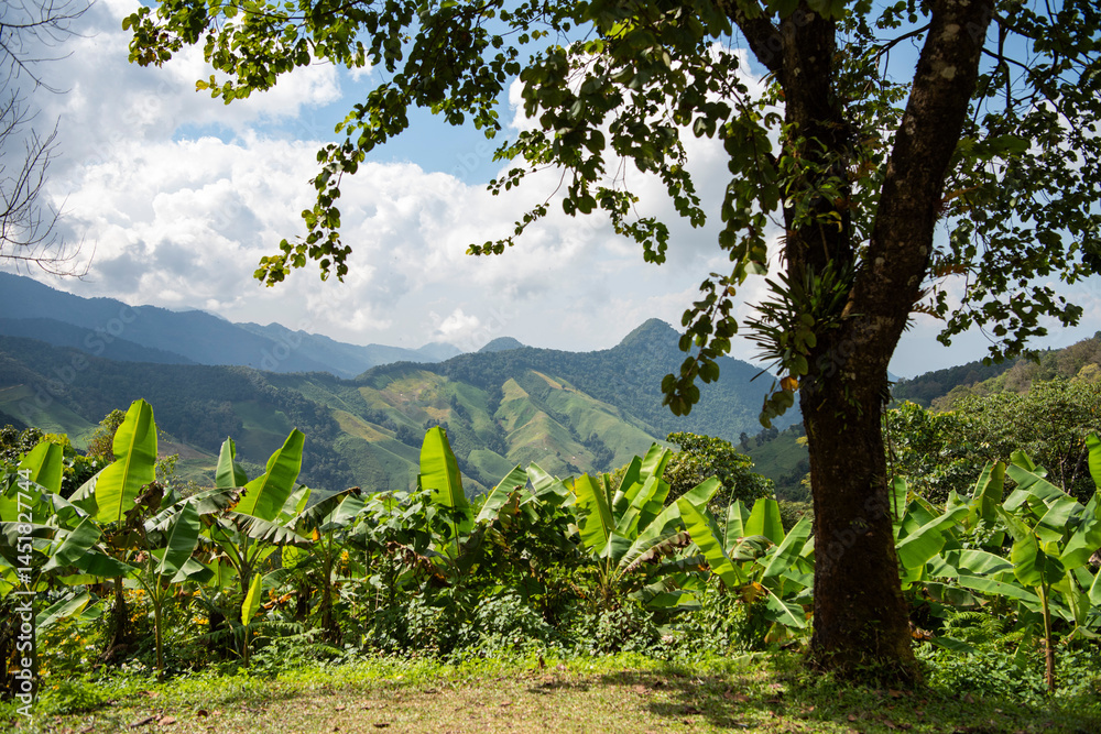 Fototapeta premium THAILAND NAN DOI PHU KHA VIEWPOINT