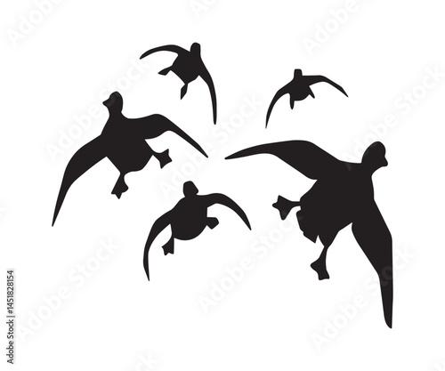 Flying Duck Silhouette, Vector Illustration Art