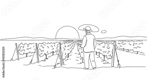 Farmer contemplating vineyard at sunset  