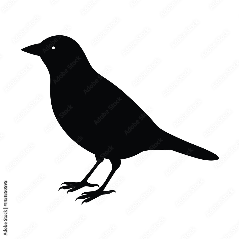 Obraz premium Realistic Bird Silhouette Vector Illustration