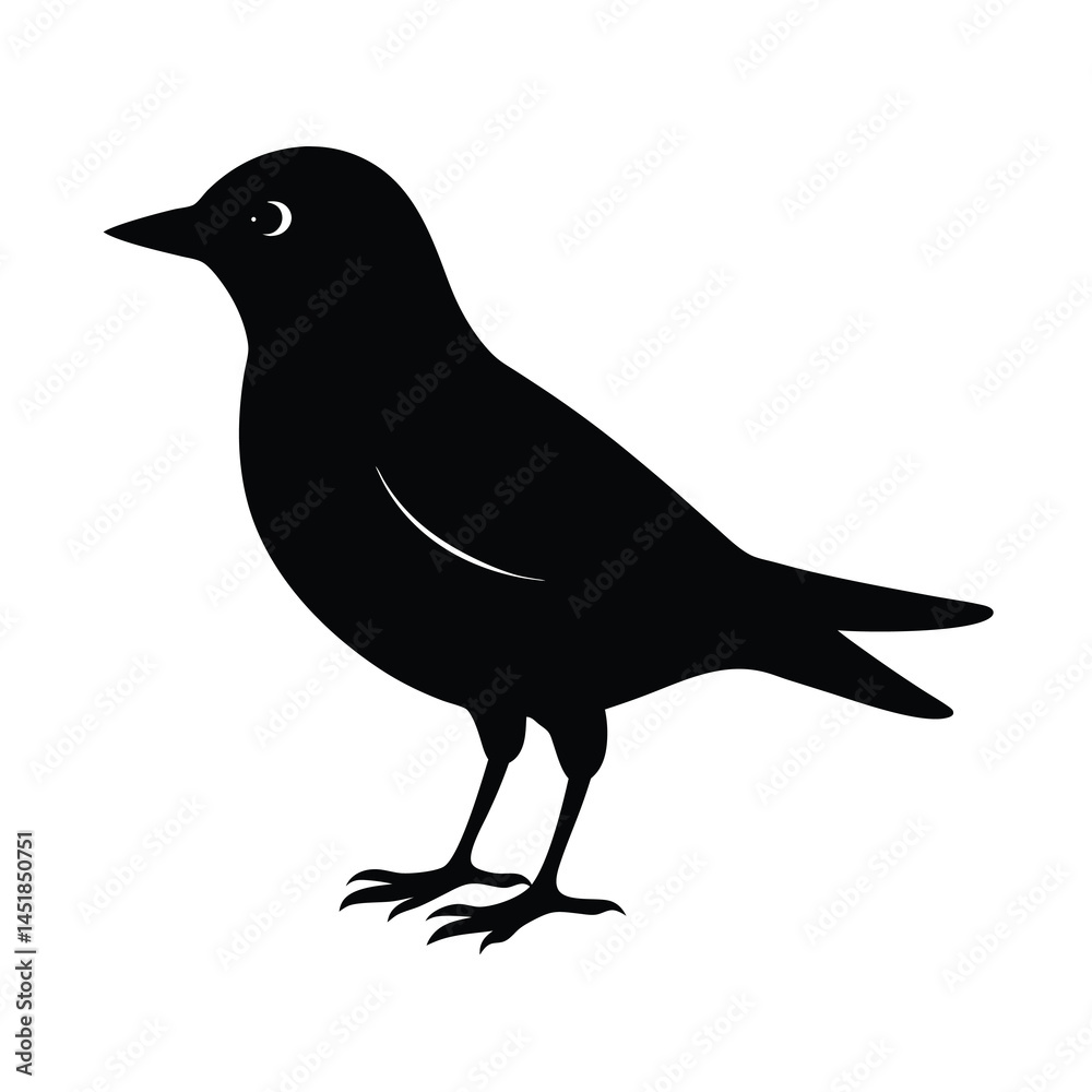 Fototapeta premium Tropical Bird Silhouette Vector Illustration