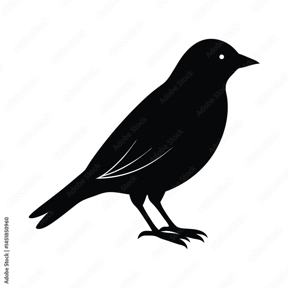 Obraz premium Realistic Bird Shadow Illustration