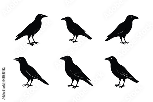 Wallpaper Mural Abstract Black Crow Silhouette Vector Illustration Torontodigital.ca