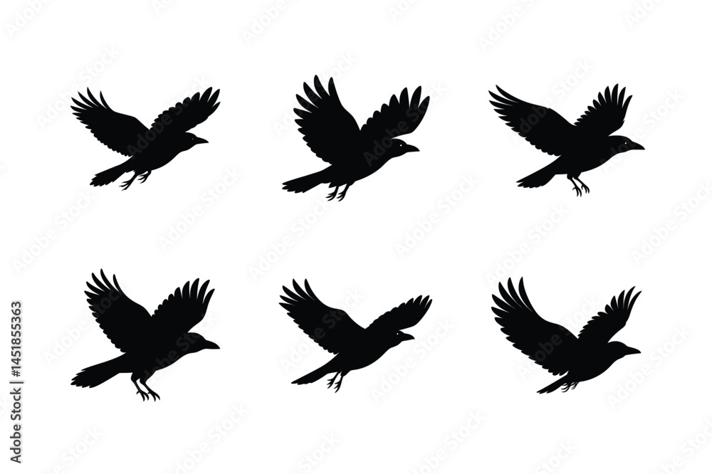 Fototapeta premium Elegant Flying Bird Silhouette Vector Illustration