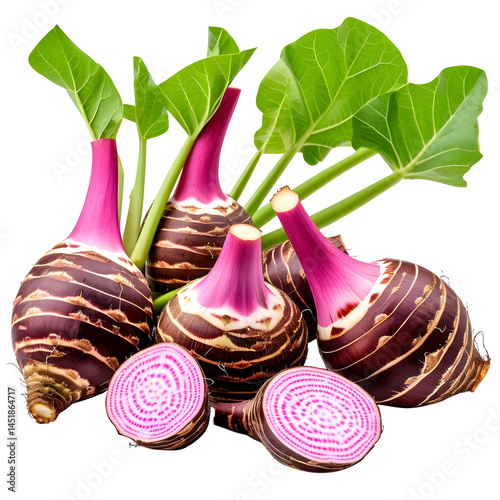 Freshly cut purple Taro root with green stems, isolated on transparent
