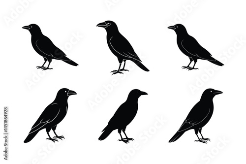 Wallpaper Mural Crow Flying Silhouette Illustration Torontodigital.ca