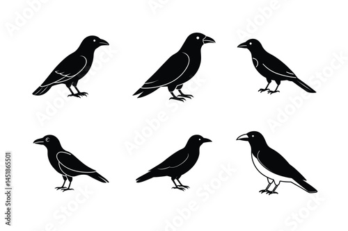 Wallpaper Mural Flat Crow Flight Silhouette Torontodigital.ca