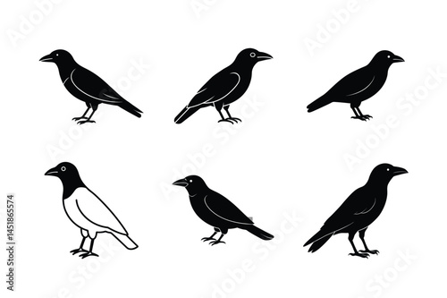 Wallpaper Mural Crow Shadow Silhouette Vector Torontodigital.ca