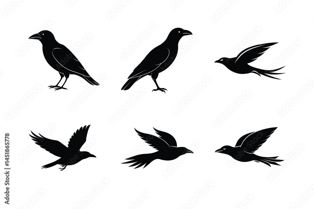 Obraz premium High Resolution Crow Silhouette