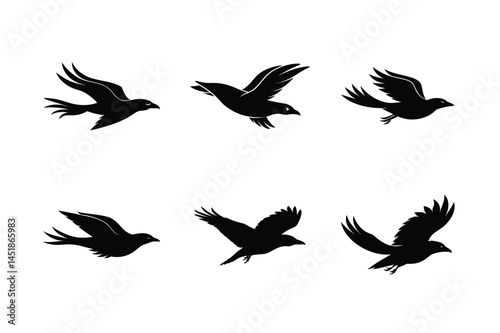 Flight Path Crow Silhouette