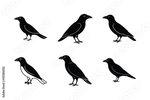 Wallpaper Mural Sharp Crow Flight Vector Art Torontodigital.ca