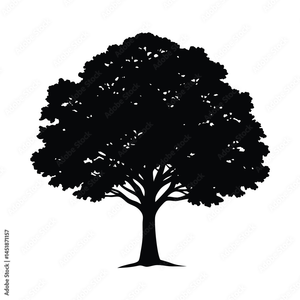 Fototapeta premium big tree silhouette vector strong and detailed