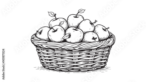 Freshly Picked Apples in Basket Line Art Minimalist Fruit Design