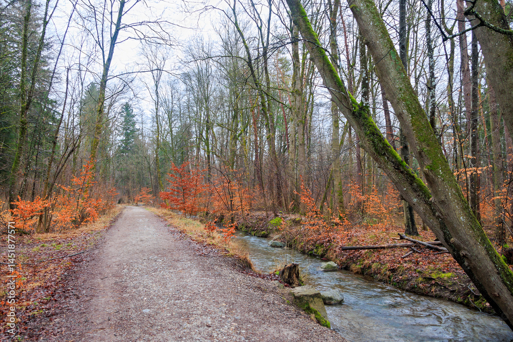 Forest path in winter in the Siebenbrunn forest near Augsburg along the Brunnenbach river