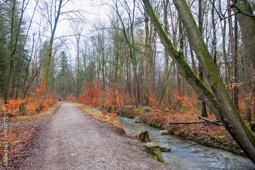 Forest path in winter in the Siebenbrunn forest near Augsburg along the Brunnenbach river