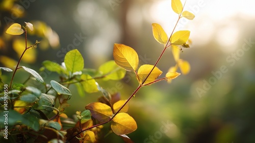 Obraz na płótnie Soft Bokeh of Yellow and Green Foliage in Natural Background Light w salonie