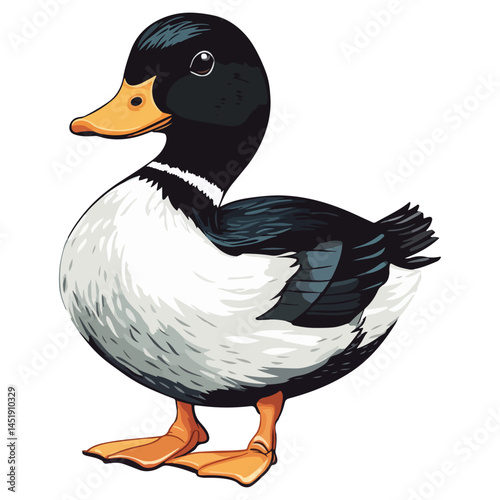 duck, animal, vector, transparent background, nature, wildlife, farm, feathers, cute, poultry, wing, animals, funny, beak, icon