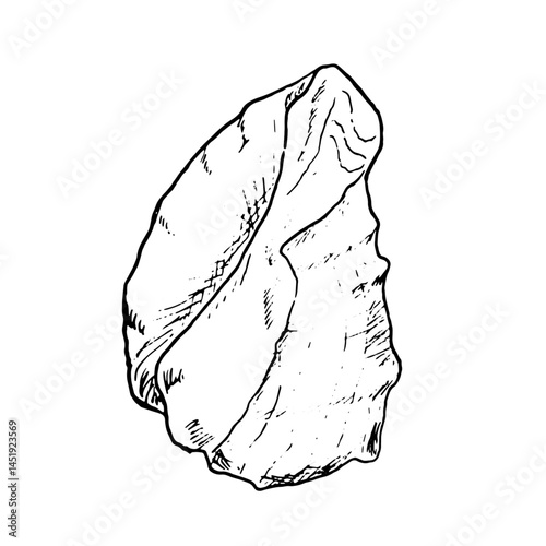 Oceanic shell, sketched in black and white ink. Vector marine illustration. A snail shell, twisted into spiral, from the underwater world, isolated on white background. For postcards and marine design