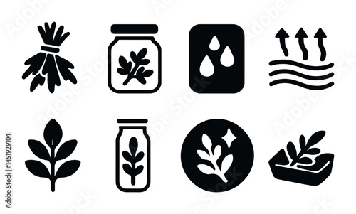 Herbal medicine solid icons set – silhouette, filled, natural healing symbols
