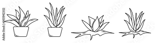Aloe Vera icon set vector 