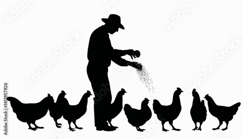 Farmer feeding chickens with grains in silhouette, rural agriculture
