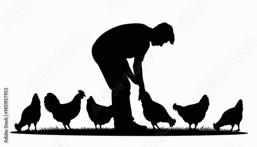 Farmer feeding chickens in silhouette, dedication to agriculture