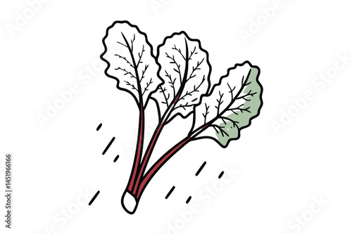 Beet Greens Vegetable Vector Illustration on White Background


