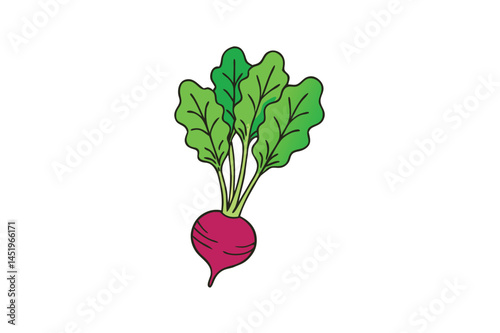 Beet Greens Vegetable Vector Illustration on White Background

