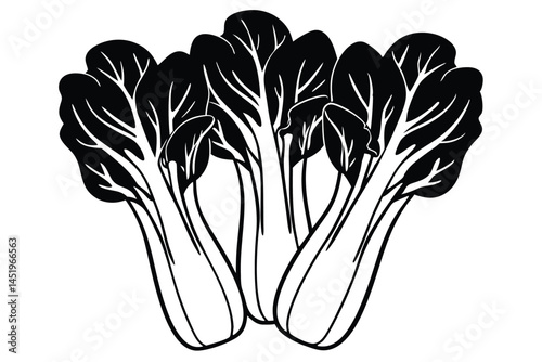 Bok Choy Vegetable Vector Illustration on White Background

