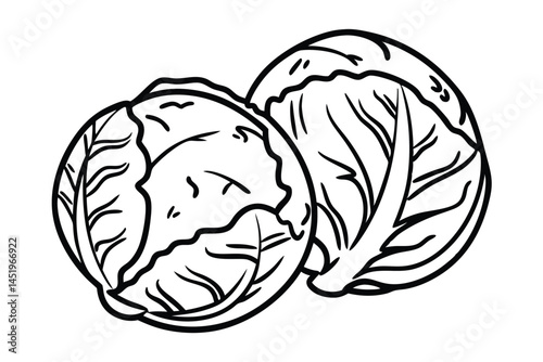 Brussels Sprouts Vegetable Vector Illustration on White Background

