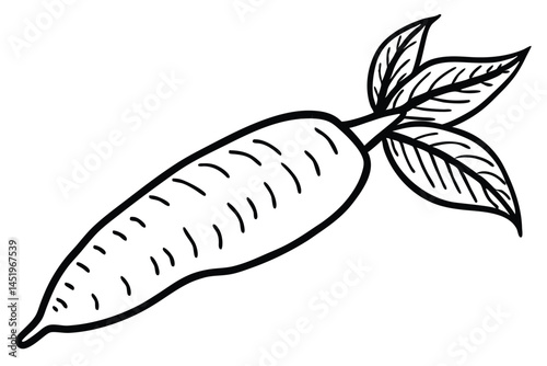 Cassava Yuca Vegetable Vector Illustration on White Background

