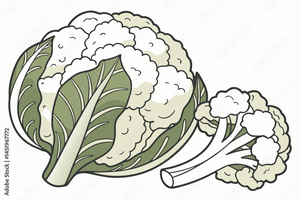 Fototapeta premium Cauliflower Vegetable Vector Illustration on White Background