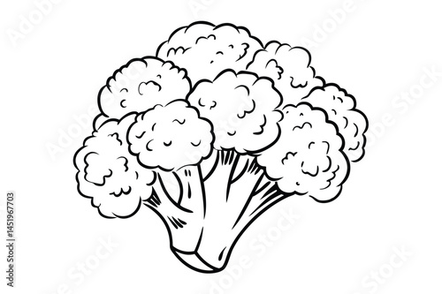 Cauliflower Vegetable Vector Illustration on White Background

