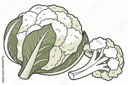 Cauliflower Vegetable Vector Illustration on White Background


