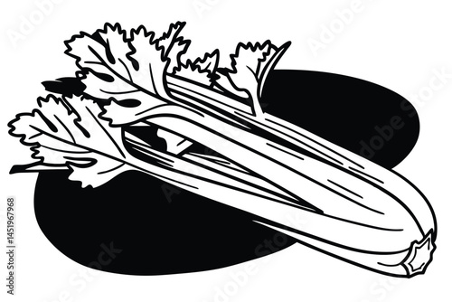 Celery Vegetable Vector Illustration on White Background

