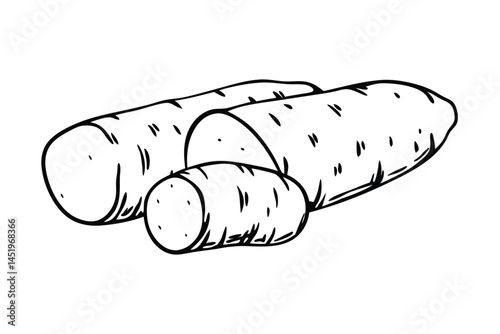 Chinese Yam Vegetable Vector Illustration on White Background

