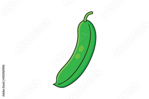 Green Beans Vegetable Vector Illustration Isolated on White Background

