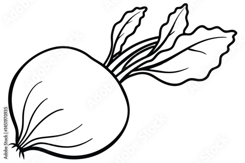 Kohlrabi Vegetable Vector Illustration Isolated on White Background

