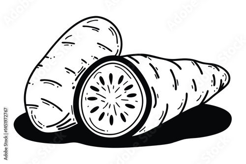 Oca Vegetable Vector Illustration Isolated on White Background

